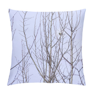 Personality  Solitary Bird Perched On A Leafless Tree In Winter, Evoking A Minimalist Aesthetic. A Single Bird Contrasts With The Stark Branches Of A Tree, Symbolizing Quiet Resilience. Pillow Covers