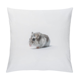 Personality  Adorable Grey Fluffy Hamster On Grey Background With Copy Space Pillow Covers
