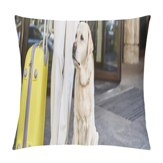 Personality  Banner Of African American Woman With Labrador And Suitcase Standing Outside Pet-friendly Hotel Pillow Covers