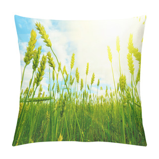 Personality  Rye Field Pillow Covers