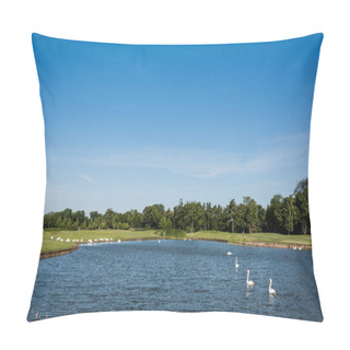 Personality  Flock Of White Swans Swimming In Lake Near Green Park  Pillow Covers