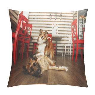 Personality  Two Dogs At The Restauran. German Shephered Dog. Shetland Sheepdog. Pillow Covers