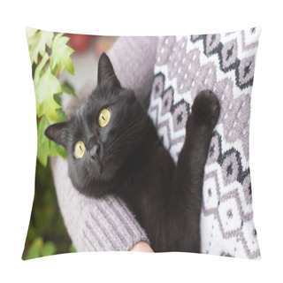 Personality  Bombay Black Cat Portrait With Yellow Eyes On Owner Hands Close-up Pillow Covers