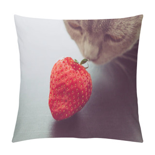 Personality  Molly And The Strawberry Pillow Covers