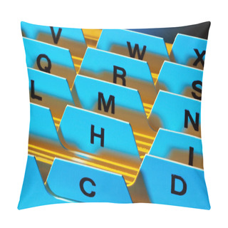 Personality  Flashcards Register Pillow Covers