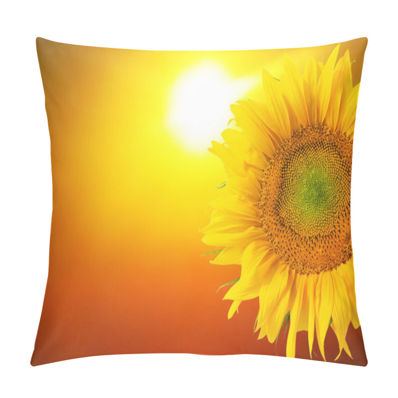 Personality  Sunny Sunflower pillow covers