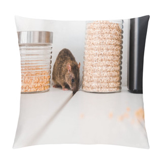 Personality  Selective Focus Of Small Rat Near Jars With Peas And Barley In Jars  Pillow Covers