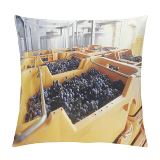 Personality  Wine Grapes In Containers  Pillow Covers