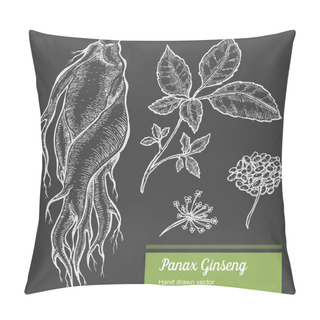 Personality  Ginseng Root, Leaf, Berry, Flower Isolated On Chalkboard Background. Organic Nature Chinese And Korean Herb. Hand Drawn Vector Illustration Pillow Covers