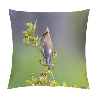 Personality  A Cedar Waxwing Perched In A Tree. Pillow Covers