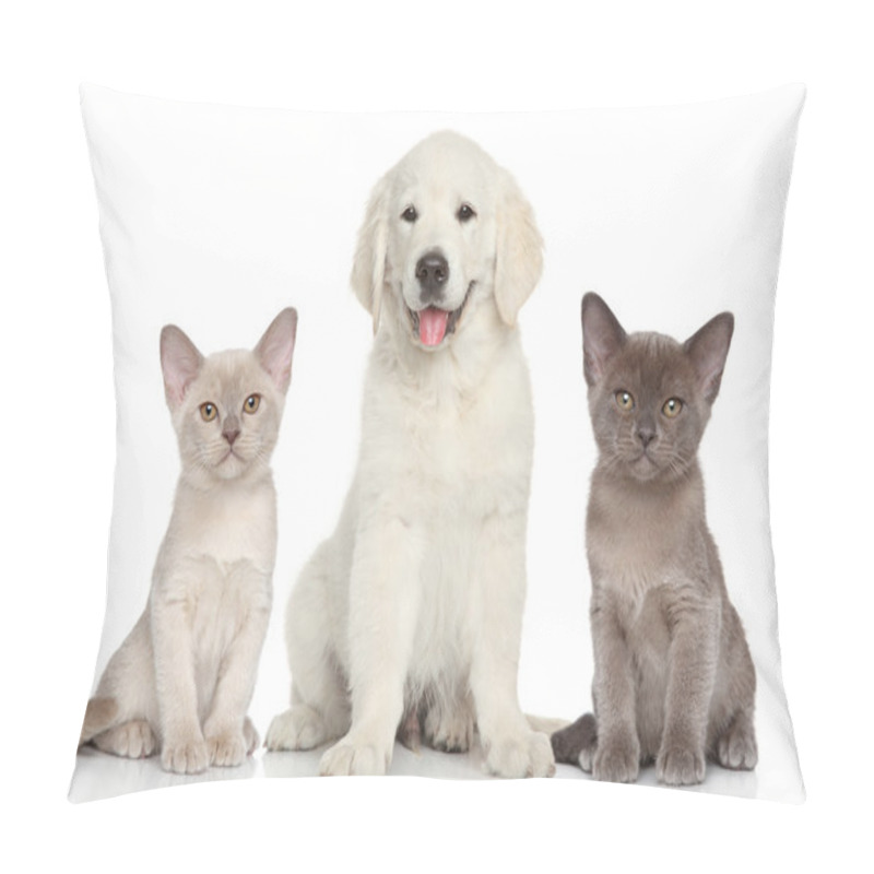 Personality  Kittens and puppy pillow covers