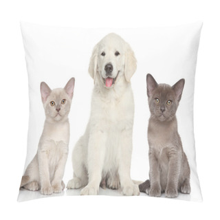 Personality  Kittens And Puppy Pillow Covers