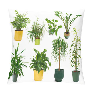 Personality  Eight Different Indoor Plants In A Set Pillow Covers