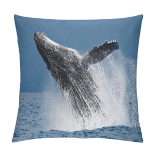 Personality  Humpback Whale Jumping Out Of The Water Pillow Covers