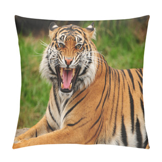 Personality  Roaring Tiger Pillow Covers
