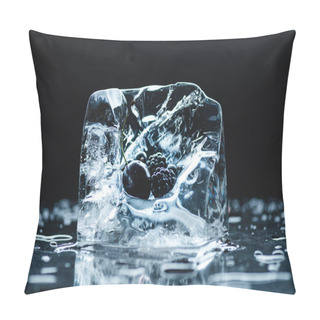 Personality  Frozen Berries In Ice Cube Pillow Covers