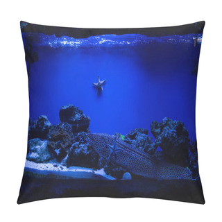 Personality  Fish Swimming Under Water In Aquarium With Blue Lighting And Starfishes Pillow Covers