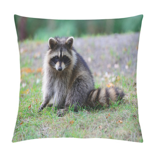 Personality  Raccoon Pillow Covers