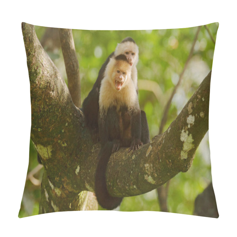 Personality  White-headed Capuchins, black monkeys sitting on tree branch in the dark tropical forest. Wildlife of Costa Rica. Travel holiday in Central America.  pillow covers