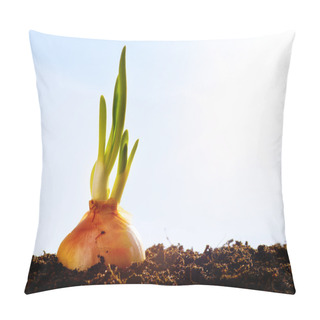 Personality  Spring Onion Vegetables Growing In Garden Pillow Covers