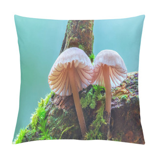 Personality  Couple White Mushroom In The Forest, Genus Mycena Mushroom Growing On A Green Moss Pillow Covers