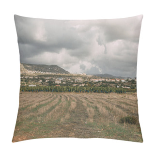 Personality  Scenic View Of Green Trees And Plants Near Houses Pillow Covers