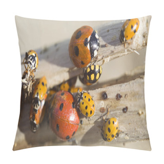 Personality  Many Ladybugs On A Branch Pillow Covers