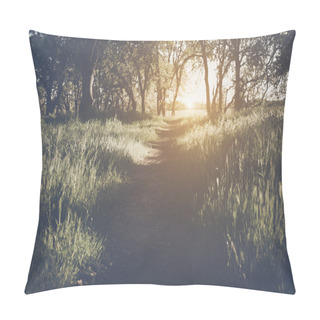 Personality  Sunlight In The Forest As Background Pillow Covers