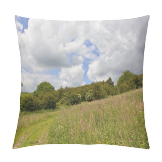 Personality  Summer Landscape With Sainfoin Flowers Pillow Covers