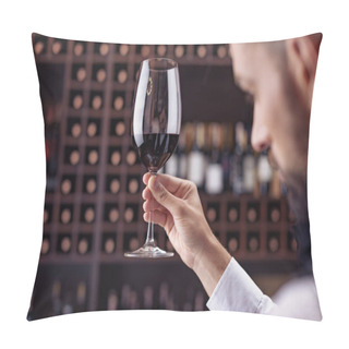 Personality  Sommelier Tasting Wine Pillow Covers