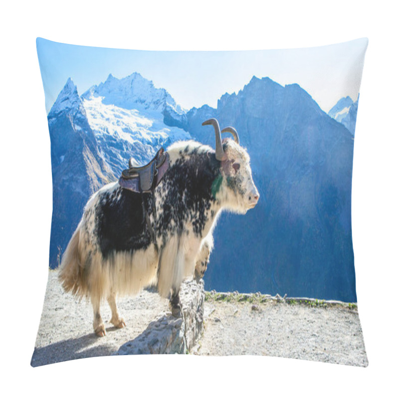 Personality  Yak bull with mountains on background. Dombay. Karachay-Cherkessia. Caucasus. Russia pillow covers
