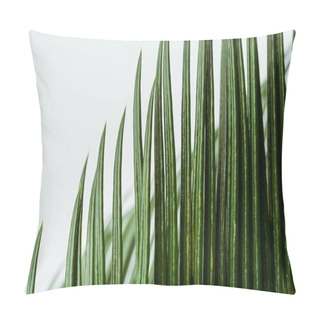 Personality  Close Up View Of Green Palm Leaf Isolated On White Pillow Covers