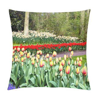 Personality  Flowers Of Keukenhof. Holland Pillow Covers