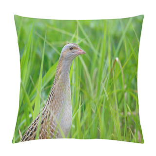 Personality  Corncrake Sitting In Green Grass  Pillow Covers