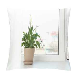 Personality  Pot With Peace Lily On Windowsill, Space For Text. House Plant Pillow Covers