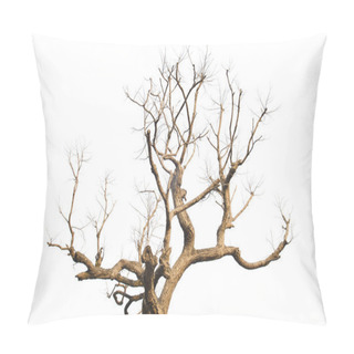 Personality  Silhouette Of Tree Branches At Sunset Pillow Covers