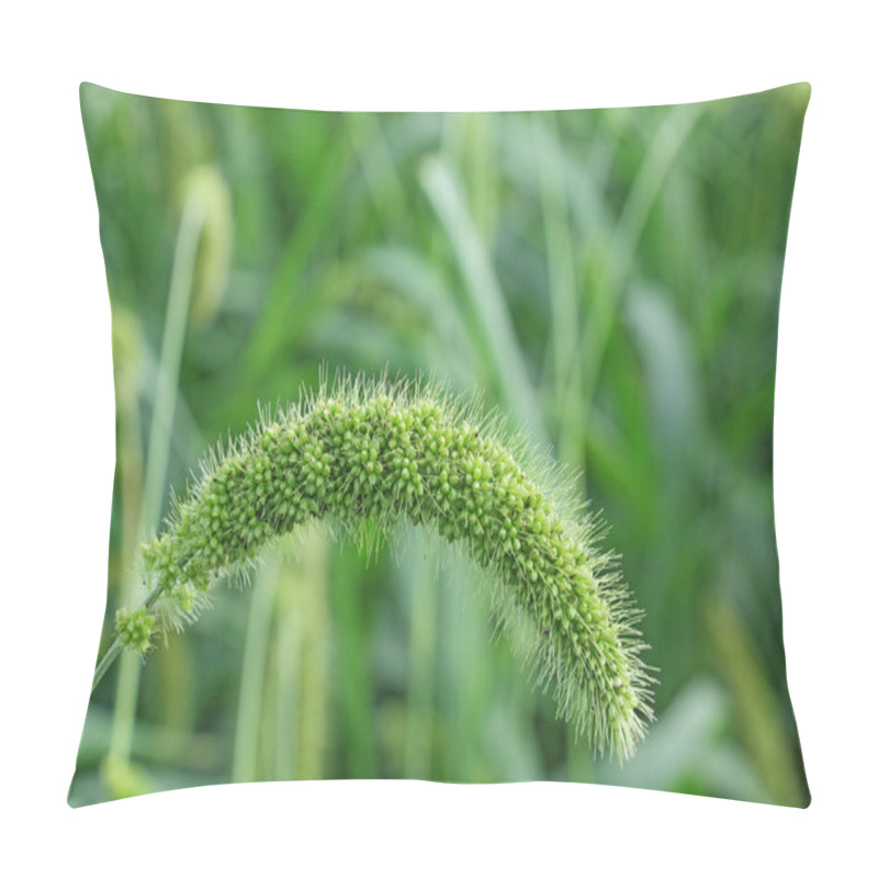 Personality  Indian Foxtail Millet Pillow Covers
