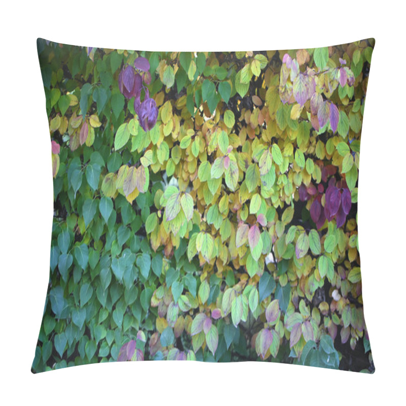 Personality  Hedge With Leaves Changing Color Pillow Covers