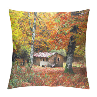 Personality  House In Autumn Forest Pillow Covers