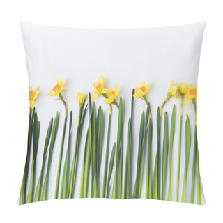Personality  Beautiful Blooming Yellow Daffodils With Green Stems And Leaves Isolated On Grey  Pillow Covers