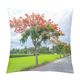 Personality  Royal Poinciana Trees Blooming Along The Road Into A Sunny Morning Adorn The Peaceful Countryside Of Vietnam Pillow Covers
