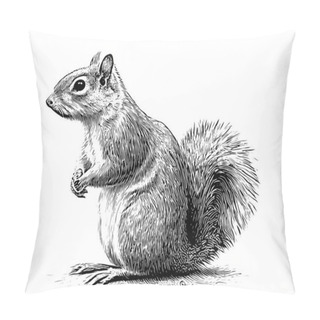 Personality  Squirrel Sitting Sketch Hand Drawn Engraved Style Vector Illustration. Pillow Covers
