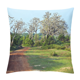 Personality  Sri Lanka Pillow Covers