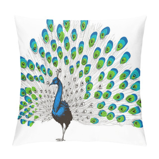Personality  Peacock Hand Drawing Pillow Covers