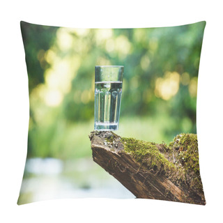 Personality  Clean Water (healthy Concept) Pillow Covers