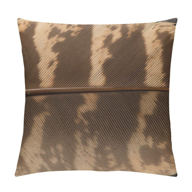 Personality  Brown Textured Feather Close Up Pillow Covers