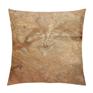 Personality  Helictite Arrow Formation Pillow Covers