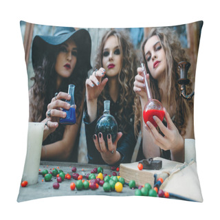 Personality  Three Witches At The Table Pillow Covers