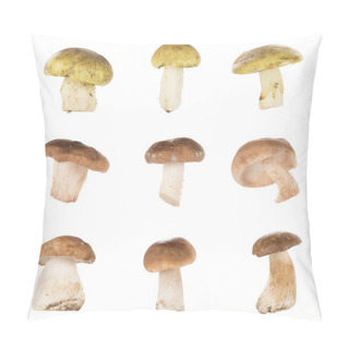 Personality  Different Types Of Mushrooms Pillow Covers