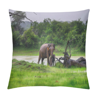 Personality  Elephant In The Wild Pillow Covers